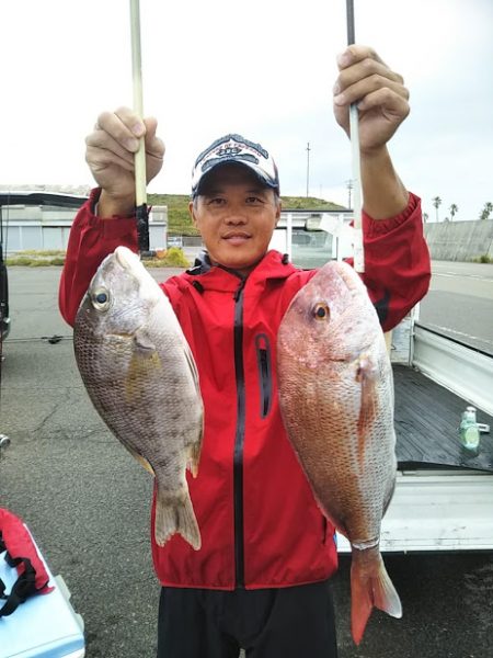 ジギング・鯛ラバ釣り果